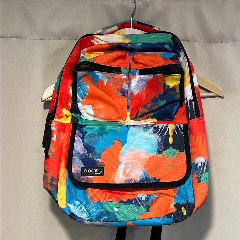 Multicolor Backpack - Picture 1 of 2